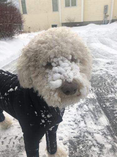 Reader Pics: Jan. 22