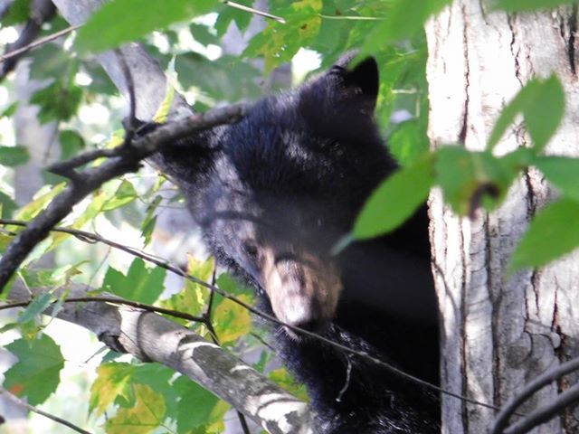 Reader Pics: Oct. 23 - 3