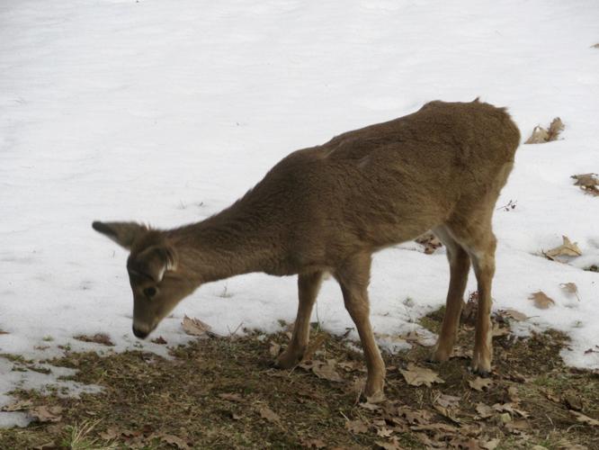 Reader Pics: April 5