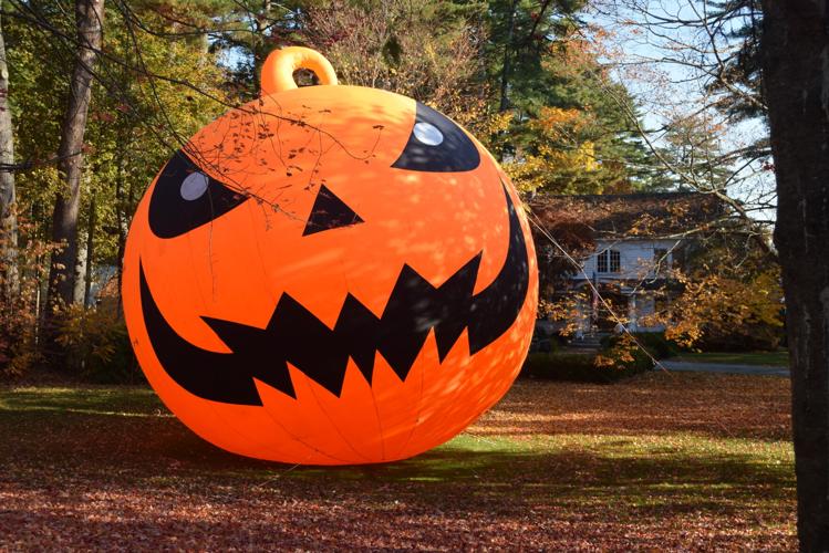 Giant pumpkin