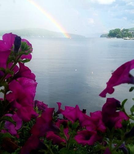 Reader Pics: July 17