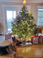 Students looking forward to the familiar this holiday break