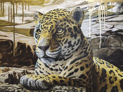 Leopard