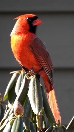 Reader Pics: March 21