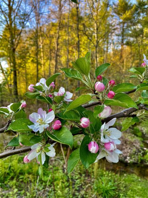 Reader Pics: May 15