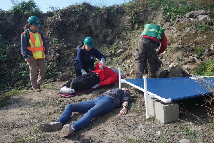 Fallen building site