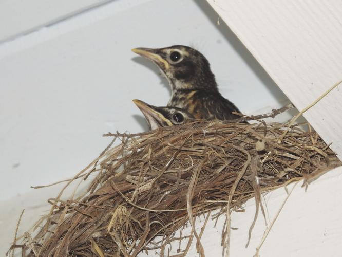 Reader Pics: June 23