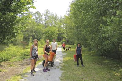 Get hands-on with conservation