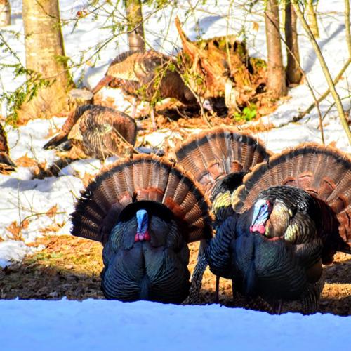 Reader Pics: March 28