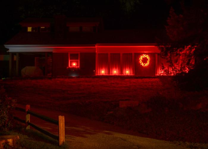 10-02 Light Up Woodland