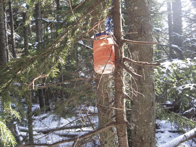 11-20 OUTDOORS IMG_3530.JPG