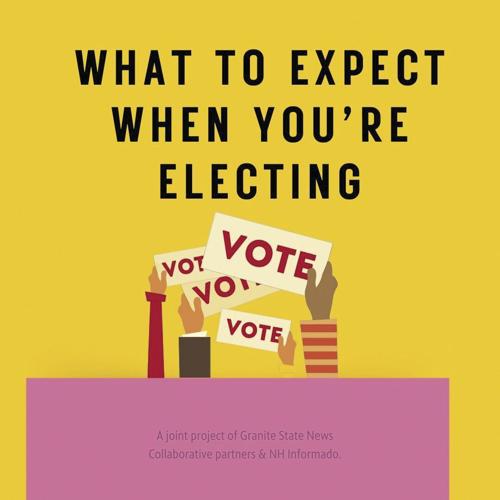What to expect when you're electing