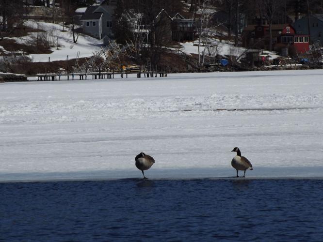 Reader Pics: April 7