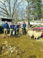 Members celebrate AmeriCorps Week 2026 with service across the Granite State, career pathways kick-off