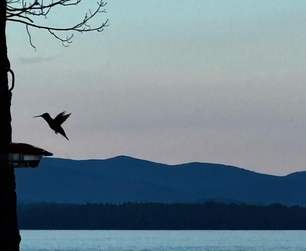 Reader Pics: Aug. 22