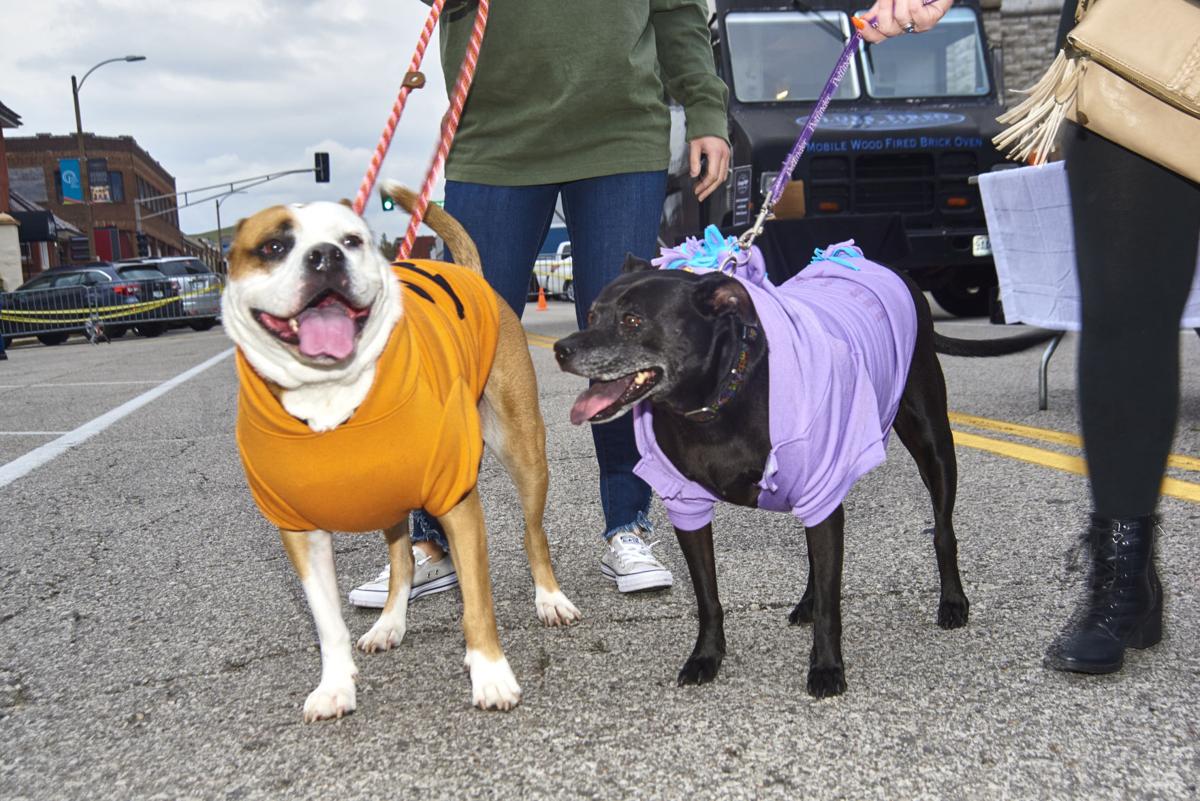 HSMO_Barktoberfest2__Oct14_2019BIZ_9349.jpg