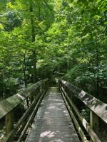 Explore the great outdoors on hiking trails around St. Louis