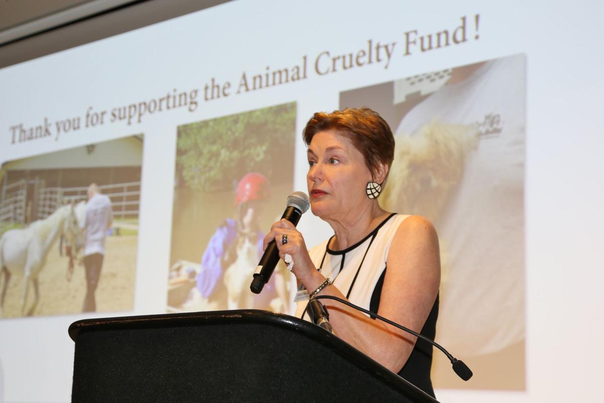Kathy Warnick, President of Humane Society of Missouri