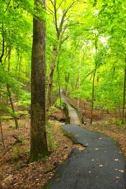 PowderValley1