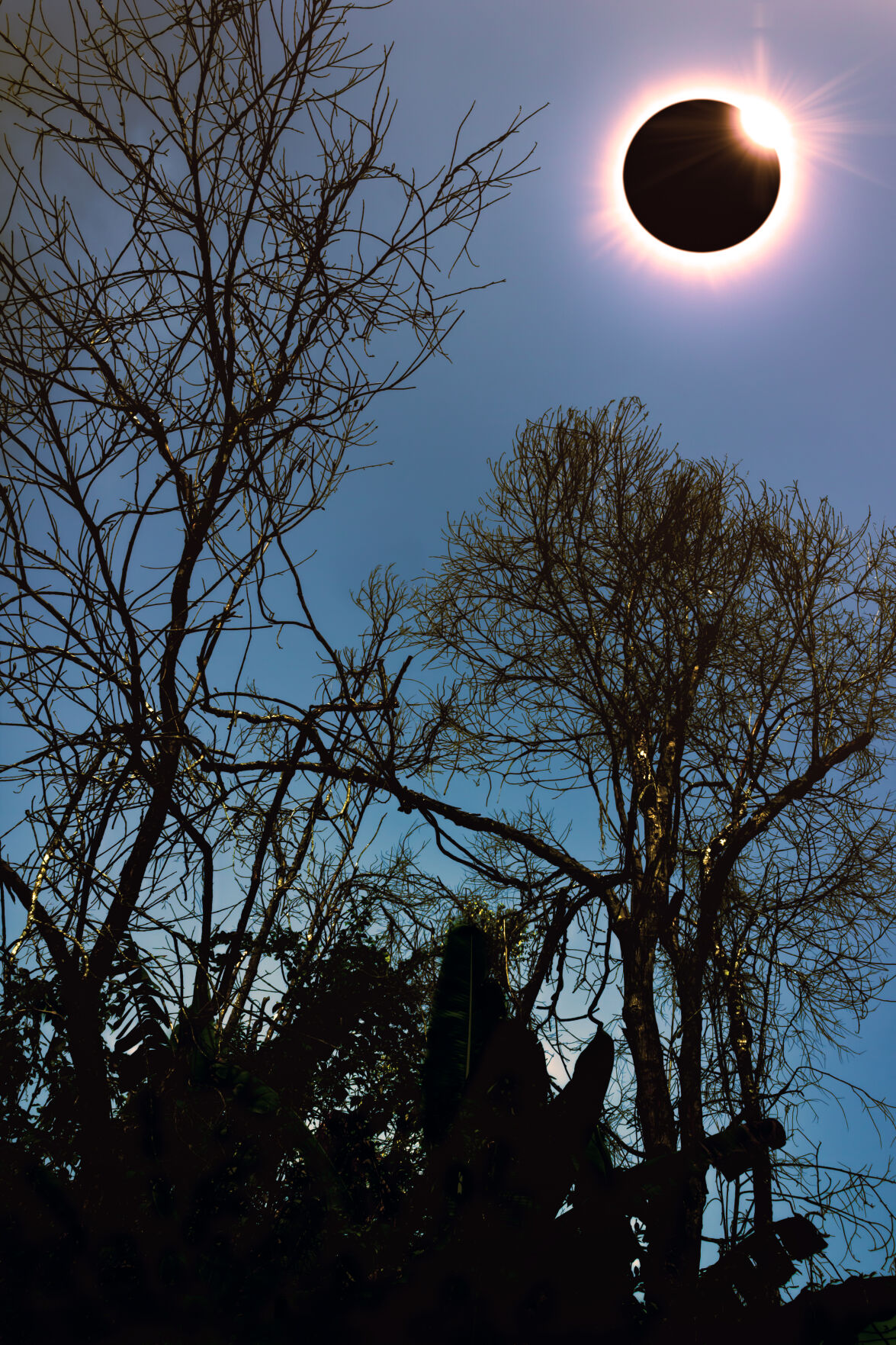 Solar Eclipse Diamond Ring Effect Photograph by - Fine Art America