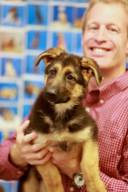 Puppy 2