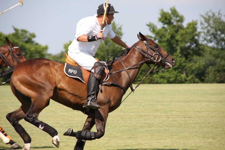 WolfPolo