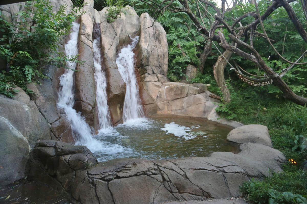2017-Zoofari-102.JPG