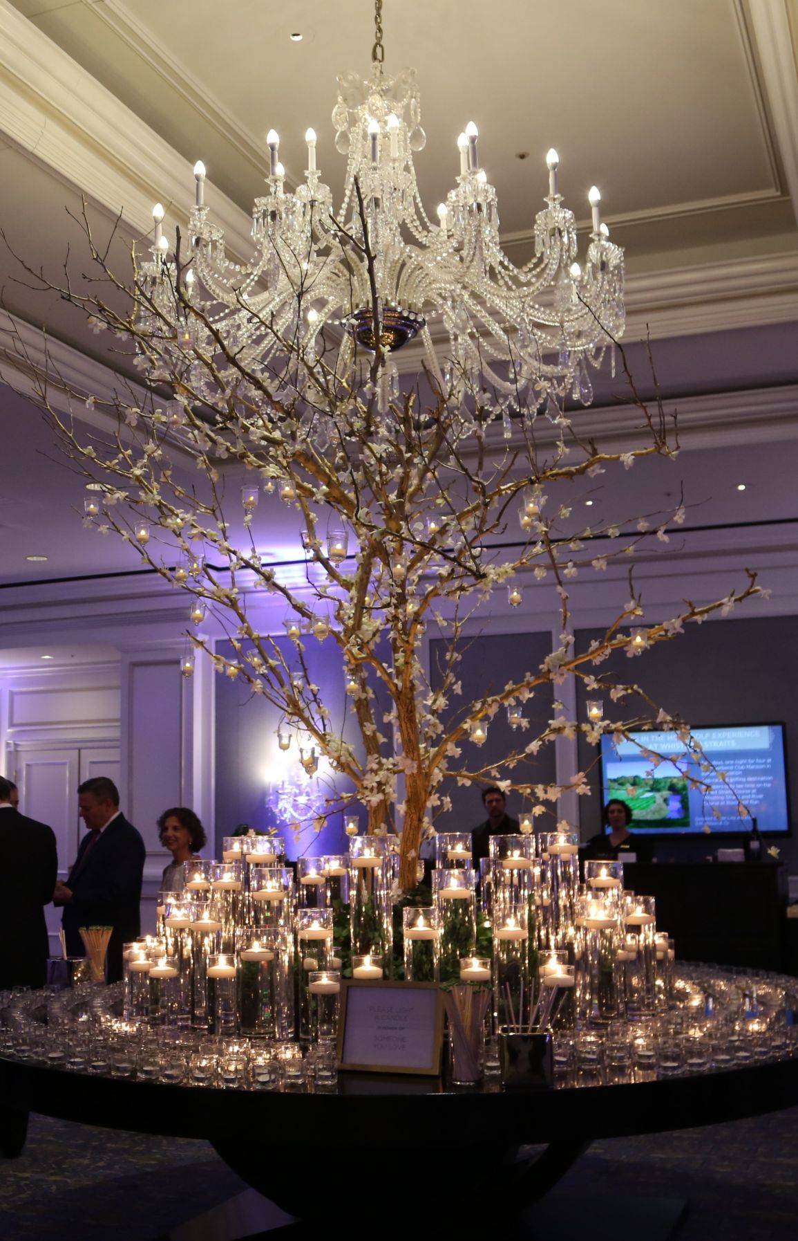 2017-Illumination-Gala-002.JPG