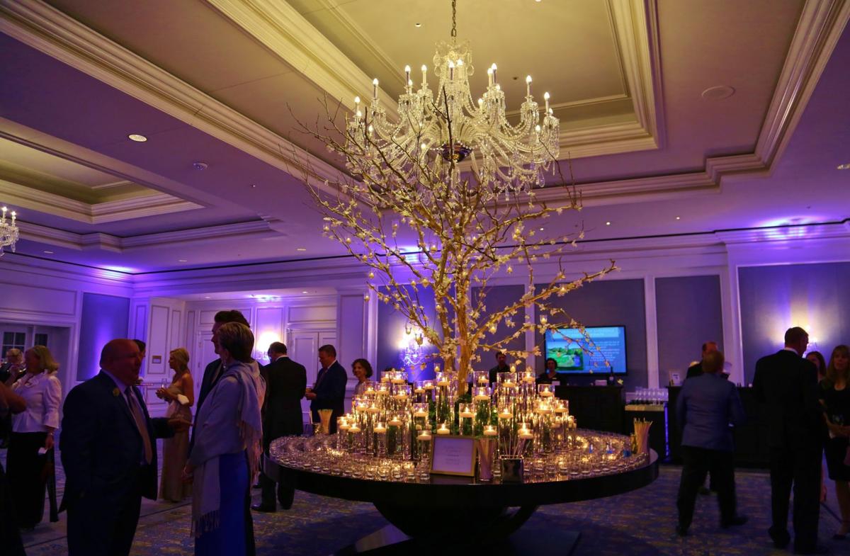 2017-Illumination-Gala-001.JPG