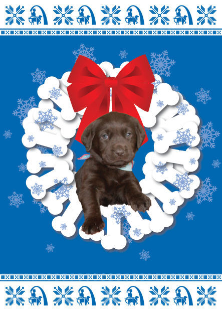 dog charity gifts christmas