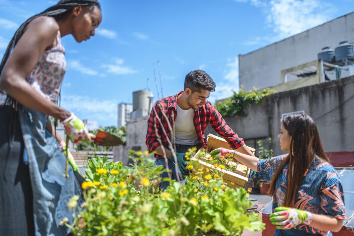 Local Environmental Project 4 ways to improve your local environment