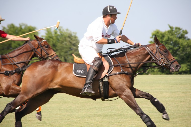 WolfPolo