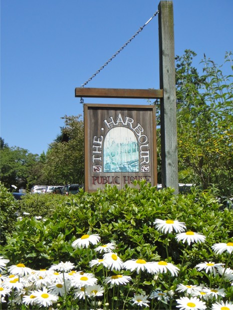 bainbridge9.jpg