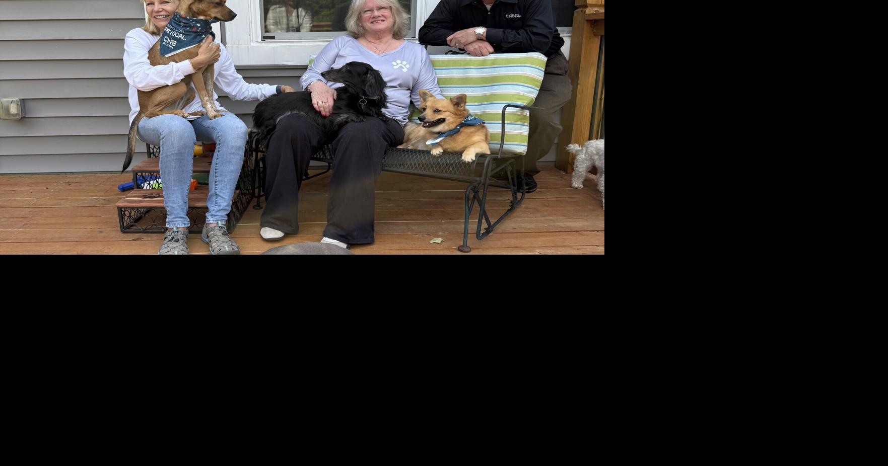 Powered by volunteers, Clare’s House provides a lifeline for pets and their families