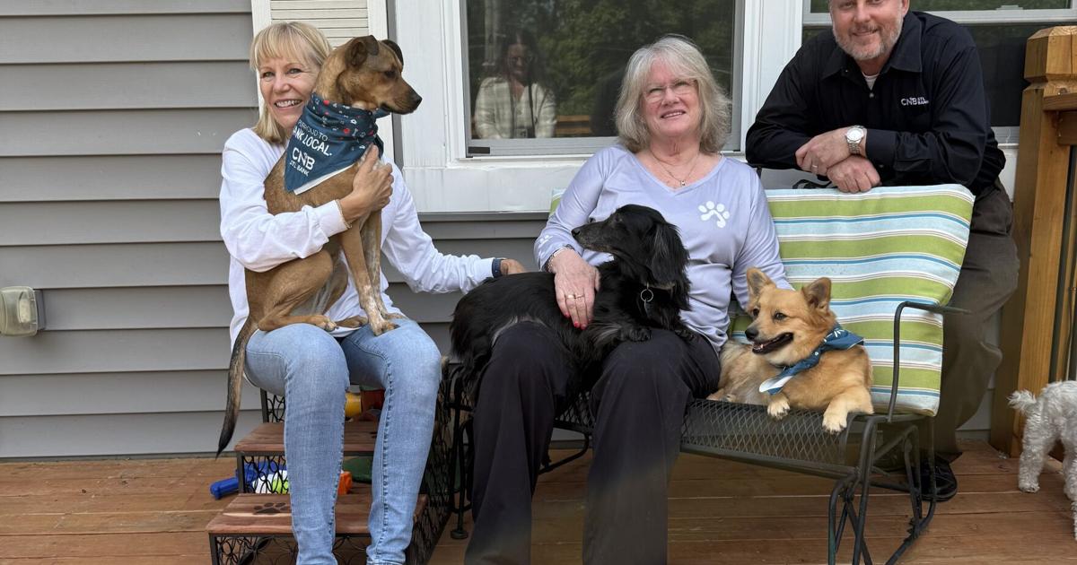 Powered by volunteers, Clare’s House provides a lifeline for pets and their families