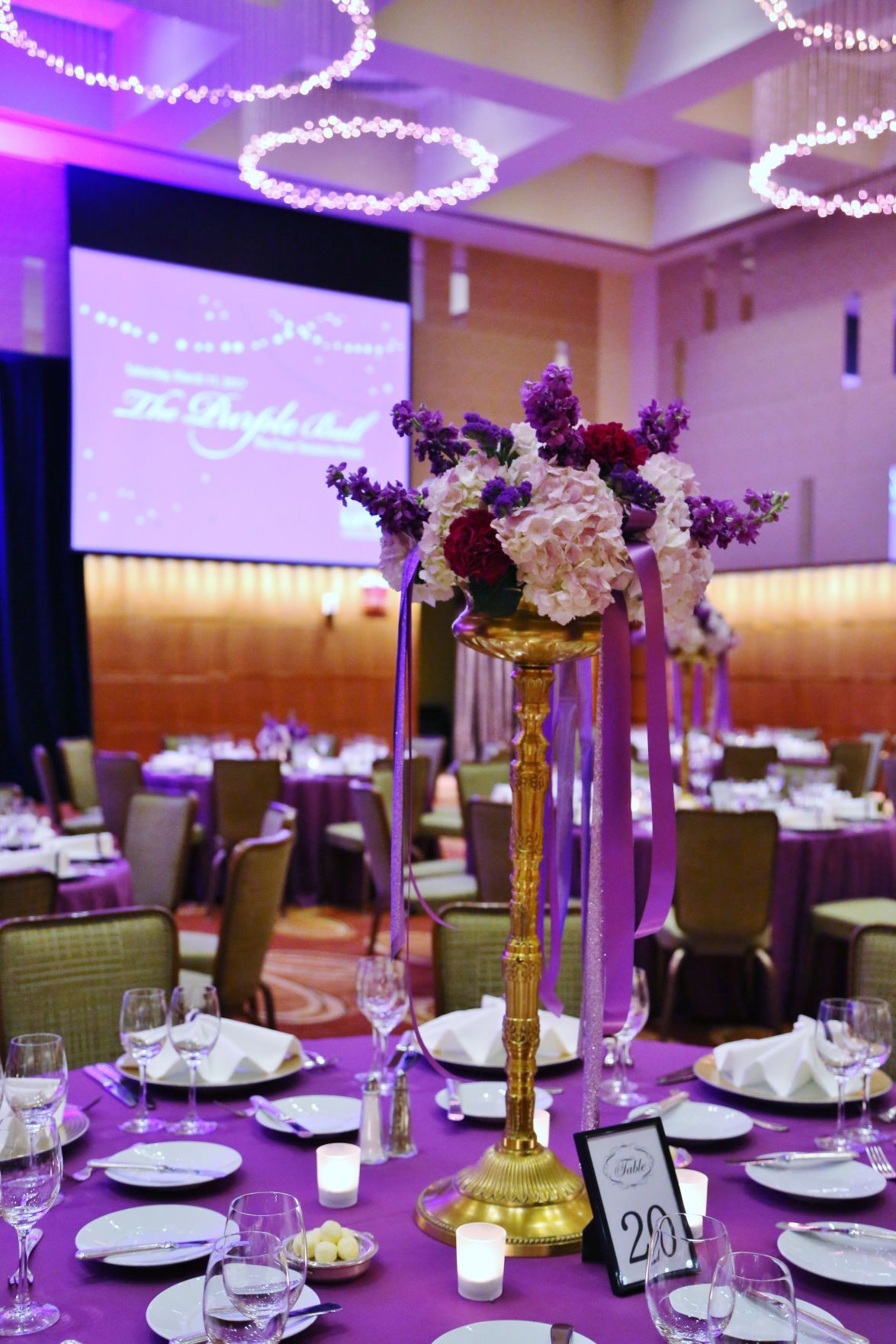 2017-Lupus-Gala0023.JPG