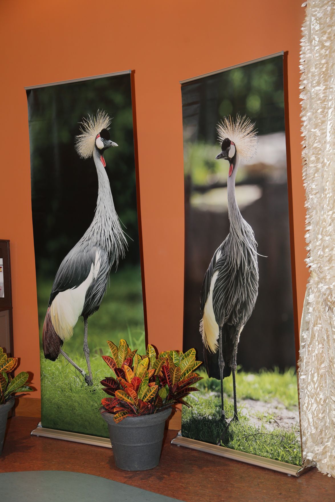 2017-Zoofari-001.JPG