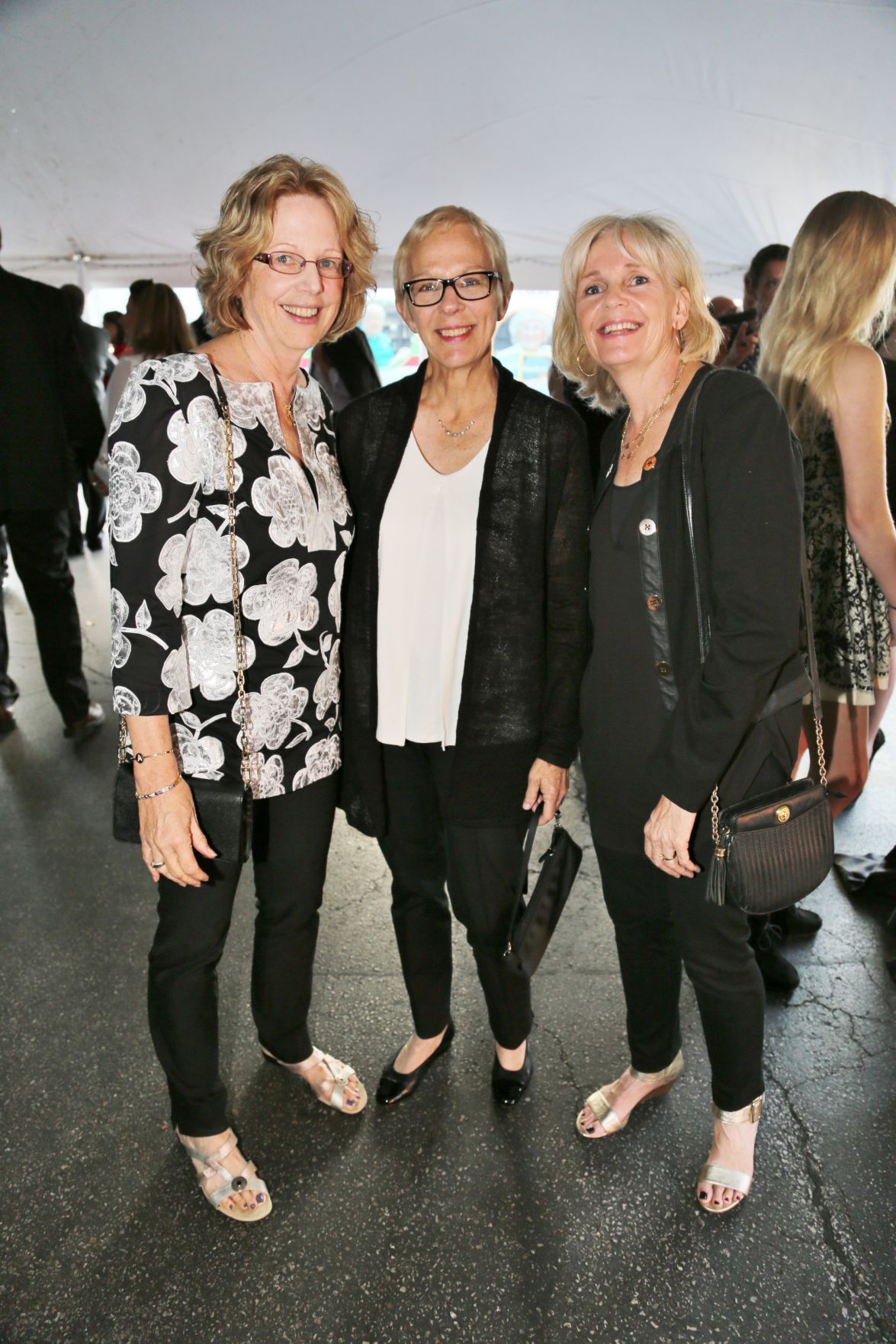 Ann Meuleman, Jeanne Fischer, Julie Merrill