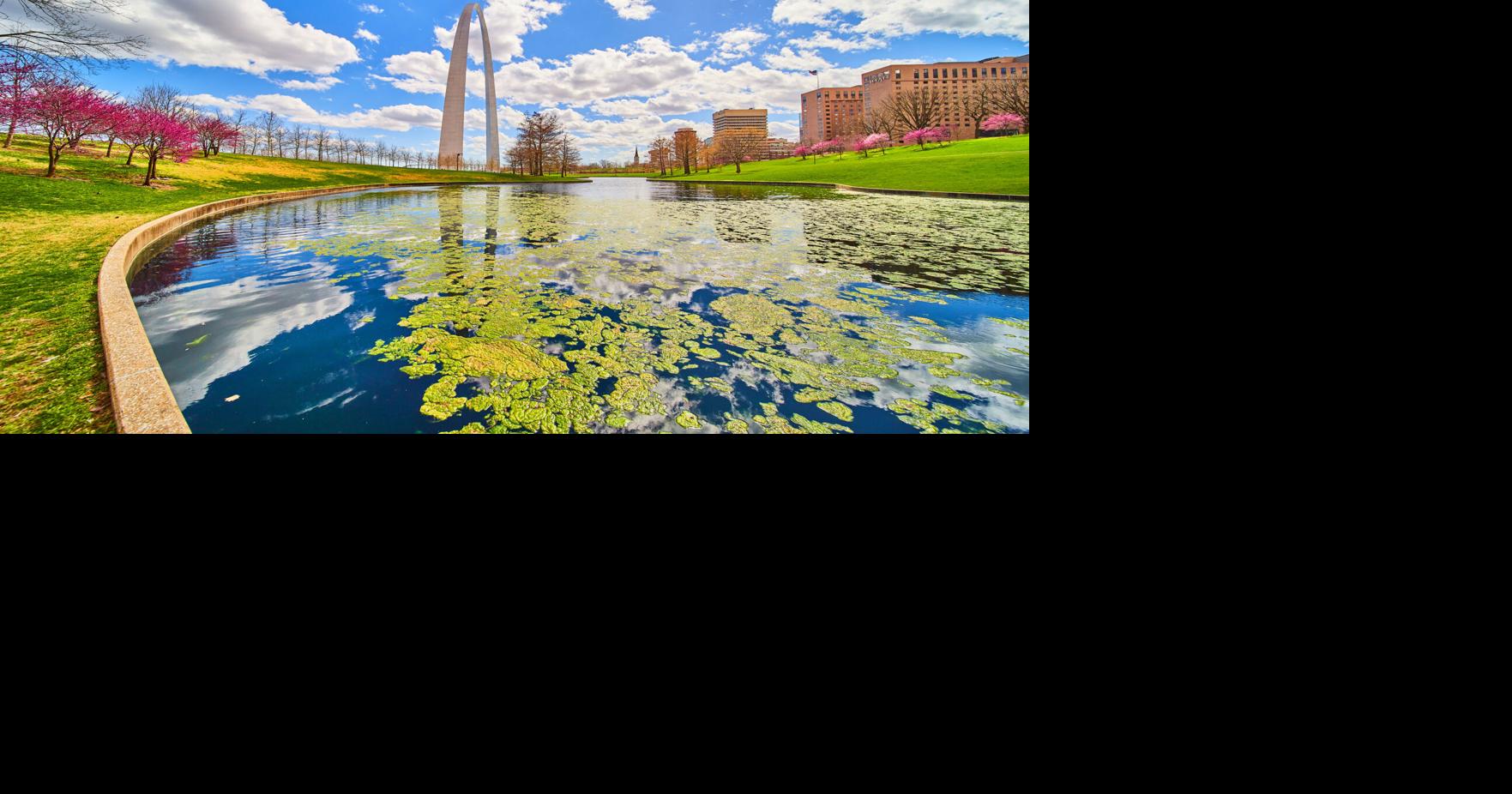 Early spring vibrant view of St. Louis Gateway Arch from pond covered ...