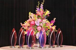 04.25.16-St.Louis-Visionary-Awards-22.JPG