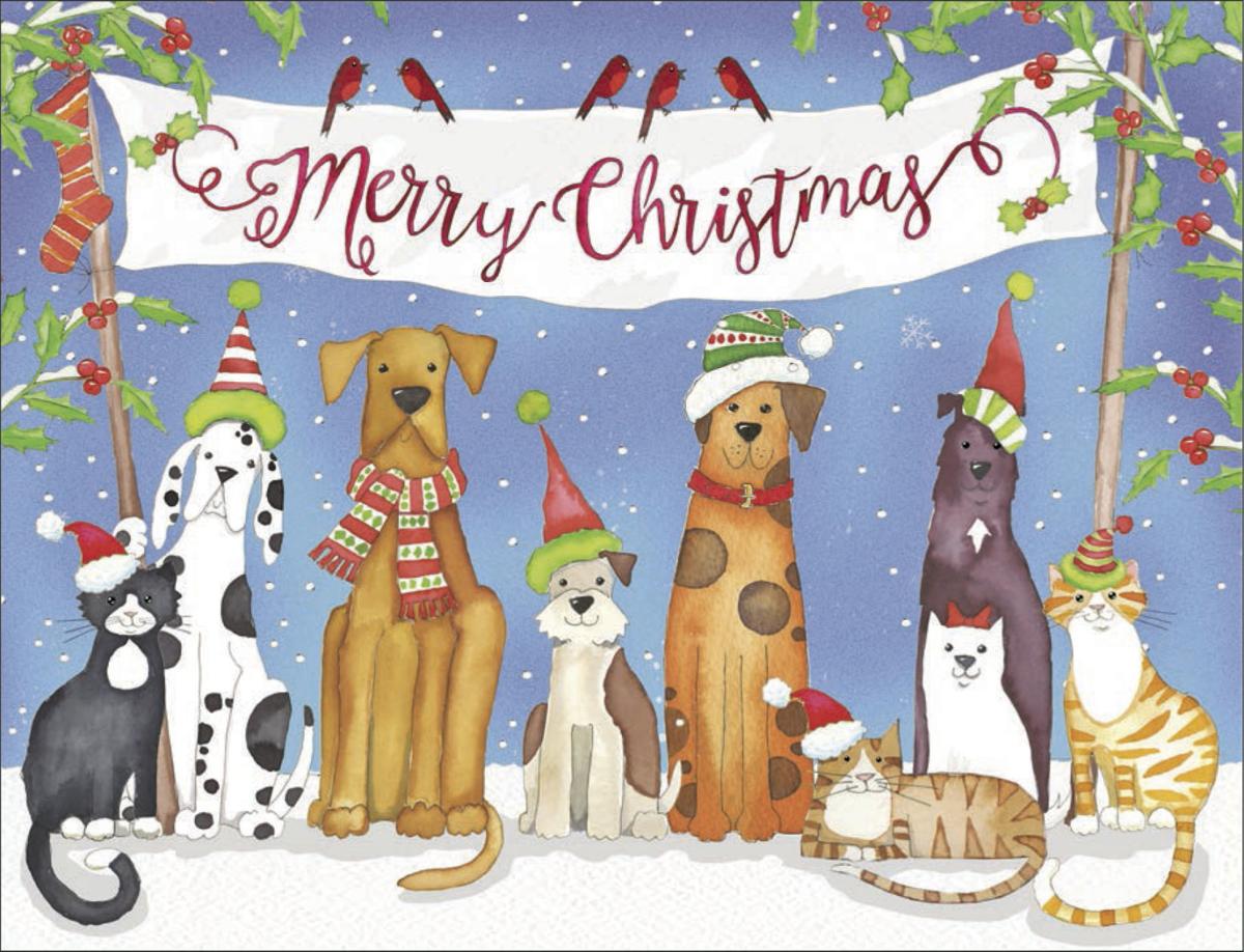 2019 Holiday Cards that Benefit St. Louis Charities