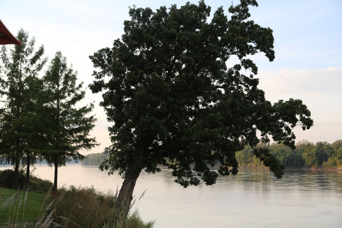 2016-GreatriversLaw055.JPG