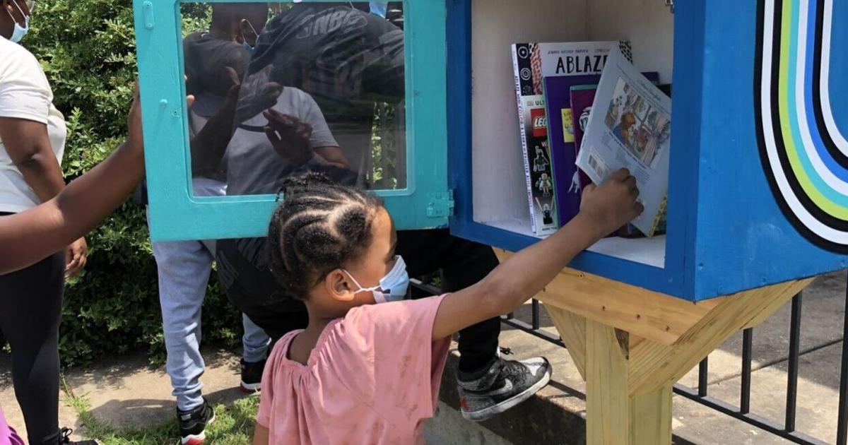 Mailbox libraries popping up in your STL neighborhood