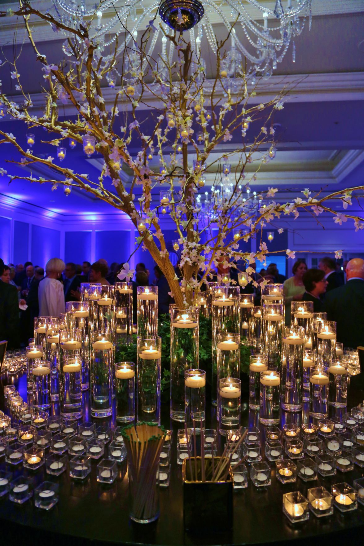 2017-Illumination-Gala-040.JPG