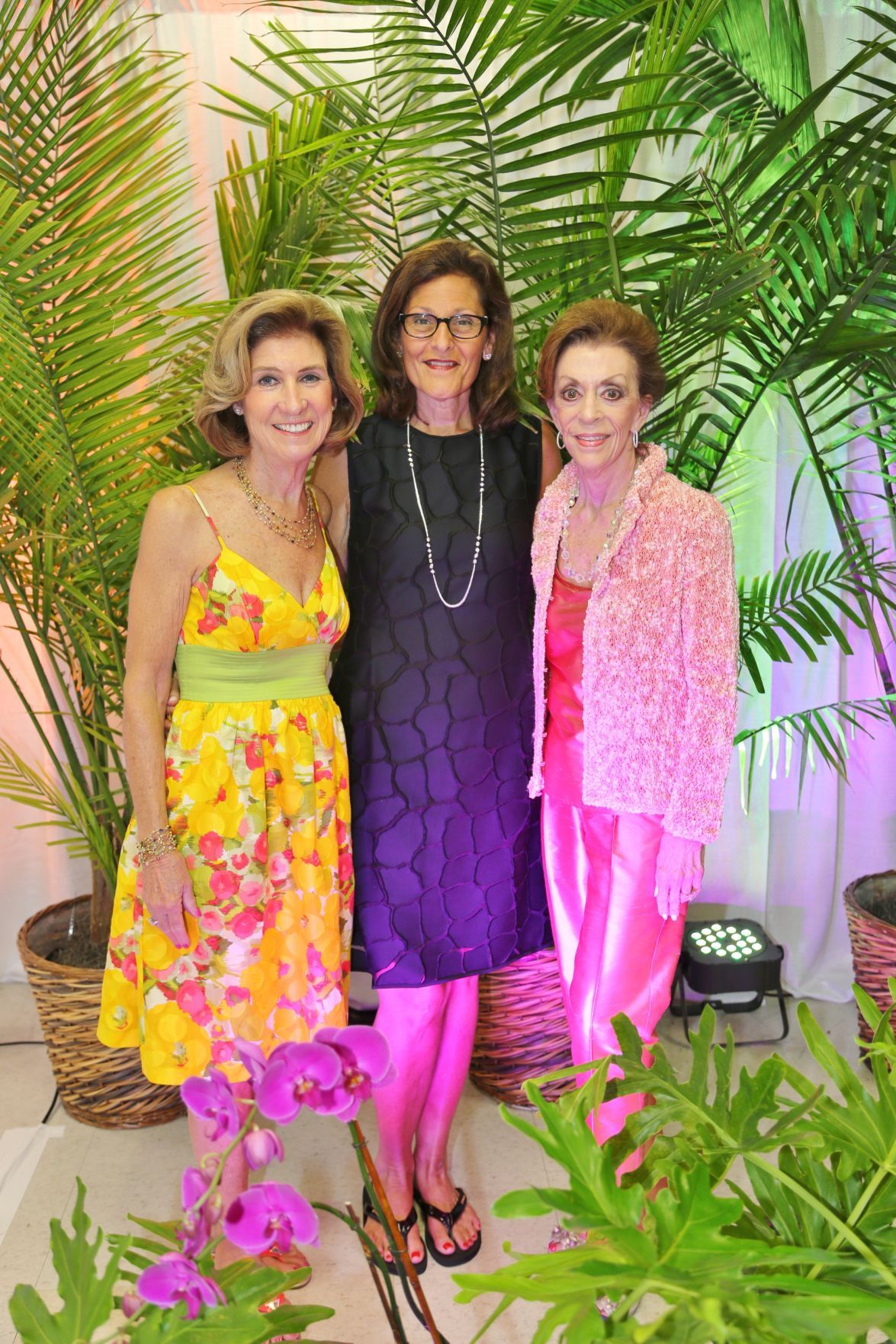 14,15
Susan Krawll, Jan Goldstein, Peggy Ritter past co-chairs