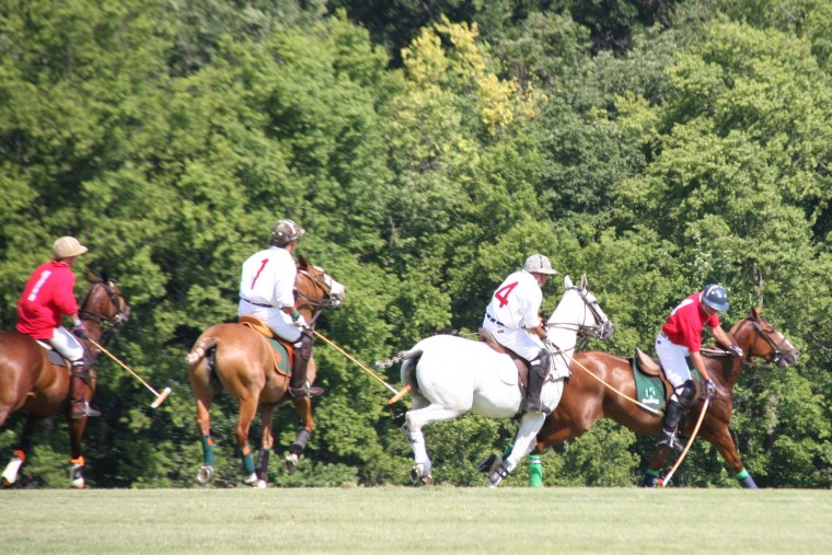 WolfPolo