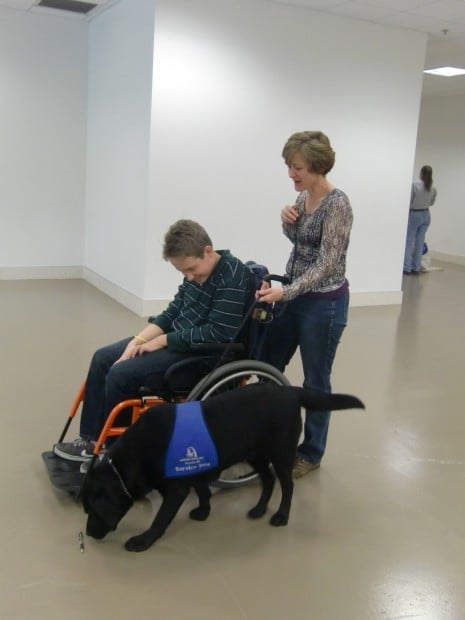 SupportDogs-training-100512