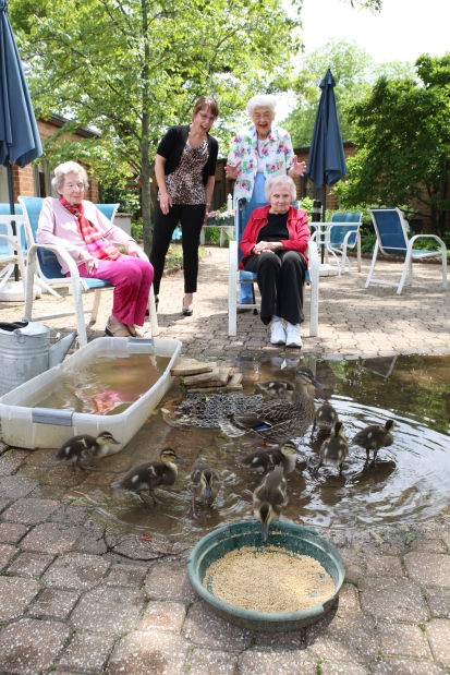 summer_Friendship Village_2_ducks.JPG