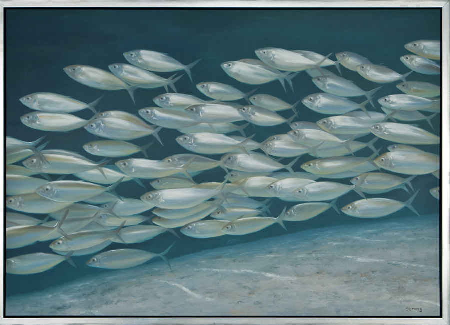 School of Silver