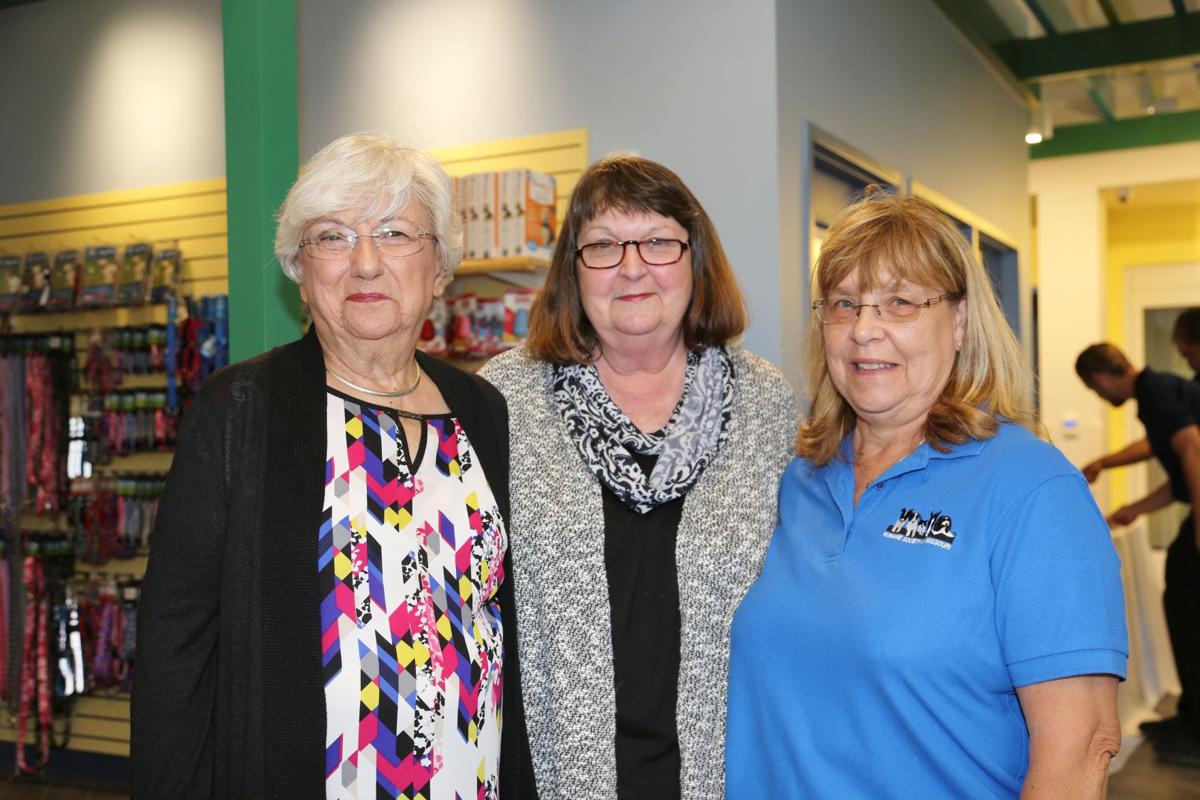 Evelyn Tischler, Jan DeFranco, Pat Lohse